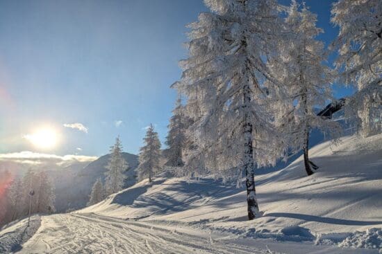 Sonne, Schnee und Glitzernde Bäume - Winterstart Zauchensee, 5. Dezember 2024